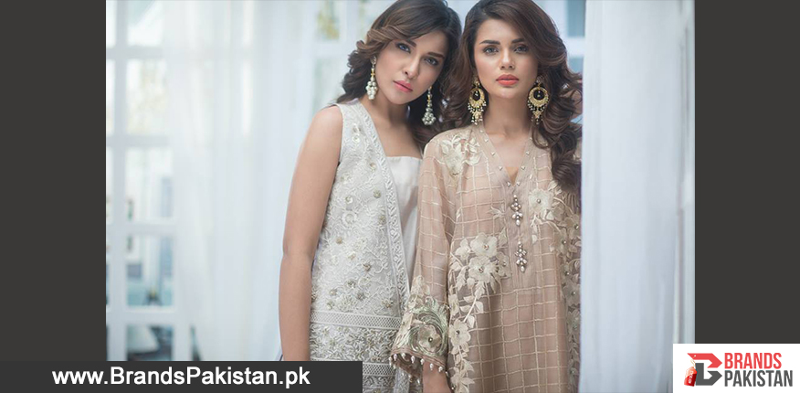 What Is A Primer and Why We Use It?